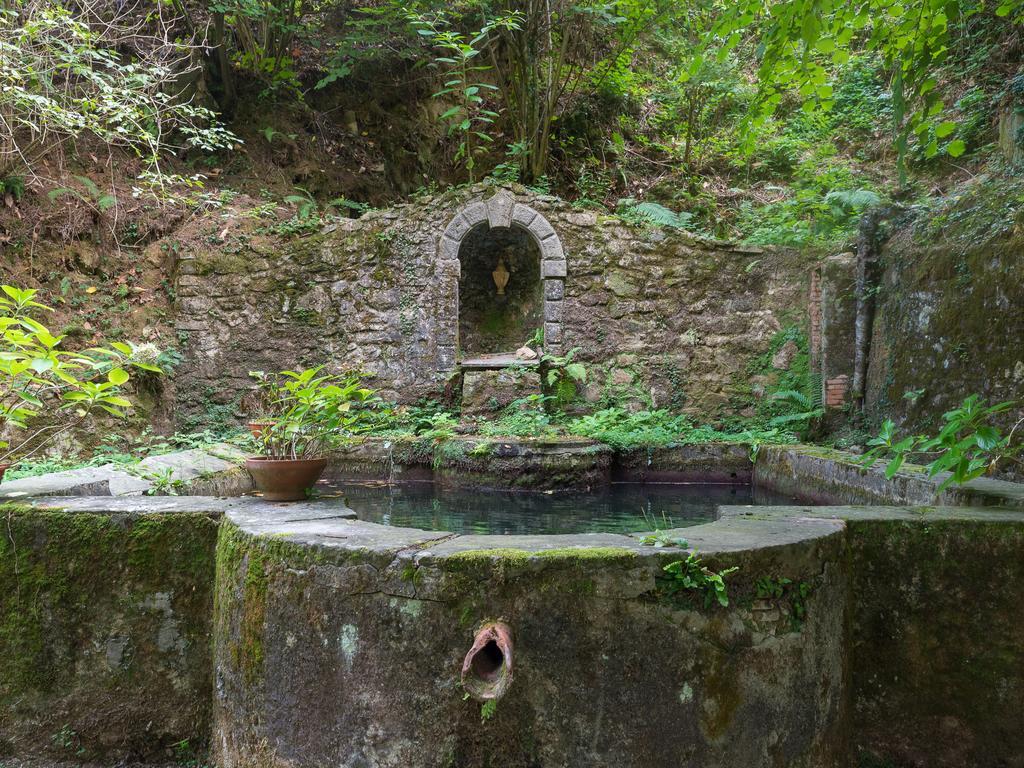 Agriturismo Le Fontanacce Pescia Eksteriør billede
